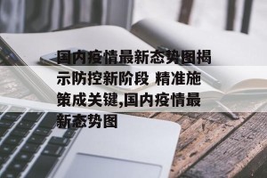 国内疫情最新态势图揭示防控新阶段 精准施策成关键,国内疫情最新态势图
